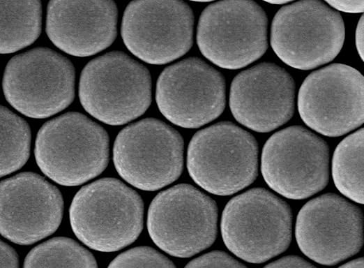 Colloidal Polystyrene Beads (Carboxylated 900 nm 10 mg/ml 10 ml)