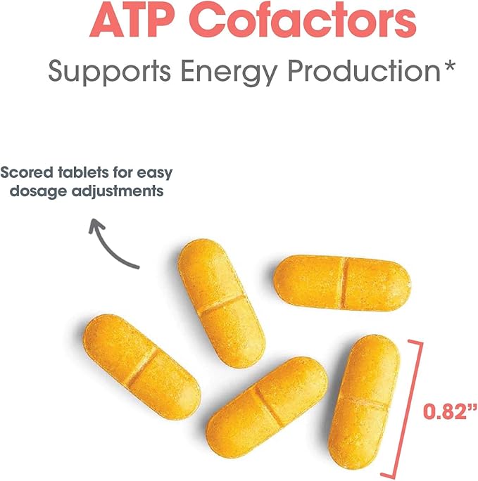 Optimox ATP Cofactors - Vitamin B Complex for Women and Men Vitamin B2 and B3 100mg Riboflavin and 500mg Niacin High Potency Multivitamin Tablets for Energy Support - 90 Count