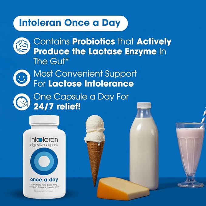 Intoleran Once a Day - 92 Capsules | Probiotic Lactose Intolerance Supplement | Actively Produces Lactase Enzyme &amp Helps Digest Dairy | 1 Capsule per Day | 6 Lactic Acid Ferments | Pure &amp Dair