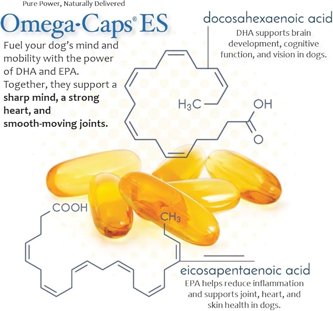 Omega-Caps Extra Strength for Large Breeds-Vet Formulated for Healthy Radiant Skin &amp Coat While Reducing Shedding. Contains Omega 3 for Immune System Support Easy to Dose 1000 Soft Gel Capsules