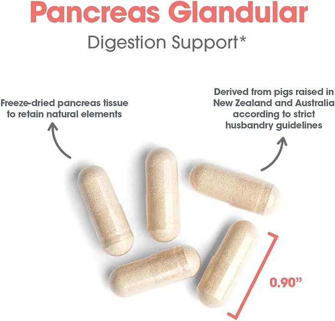 Nutricology Pancreas Pork 425mg Supplement - Pancreas Natural Glandular Pancreatic Enzymes Amylase Protease Lipase Hypoallergenic - 60 Count