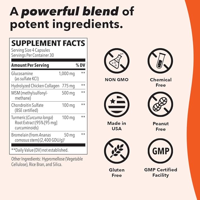 LifeSeasons Mobili-T - Joint Support Supplement - Reduces Aches &amp Discomforts - Increase Range of Motion - Rebuild Tissue &amp Cartilage - MSM Chondroitin Collagen Glucosamine &amp Turmeric - 20