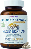 Sea Moss with Real SeaMoss Alternative to Sea Moss Gel and Sea Moss Gummies – 100% Organic - 120 Capsules – Made in The USA – from Pristine Waters of Nova Scotia
