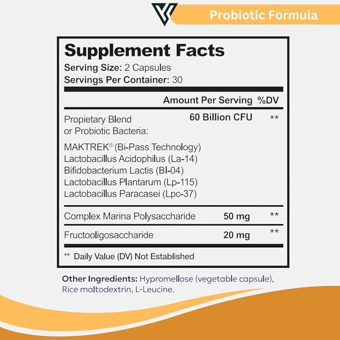 Probiotic Formula – Probiotic Strains – Gut Digestive &amp Immune Health Support – 60 Billion CFU Capsules 60ct