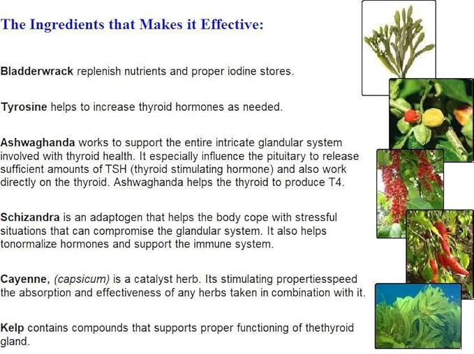 Thyroid Support for Hyper and hypothyroid Conditions with L-Tyrosine Kelp Ashwagandha and Bladderwrack. Potent Thyroid Support for Women and Men. Made in The USA