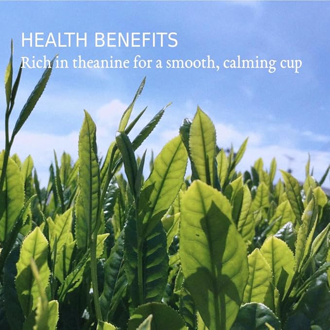Japanese Green Tea Co. Nozomi Japanese Green Loose Leaf Tea - 3.5 Oz (100g) – Covered Tea Kabusecha Kabuse Fukamushi Sencha - Single-origin from Shizuoka