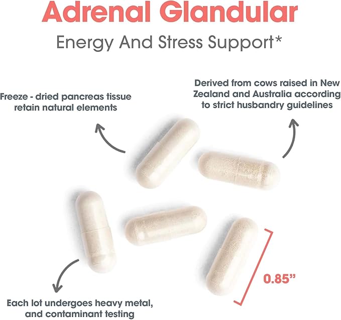 Allergy Research Group ARG Adrenal Cortex - Supports Healthy Stress Response &amp Metabolism - Delivers 150 mg Freeze-Dried Bovine Adrenal Cortex Tissue - 100 Servings - 150 Capsules