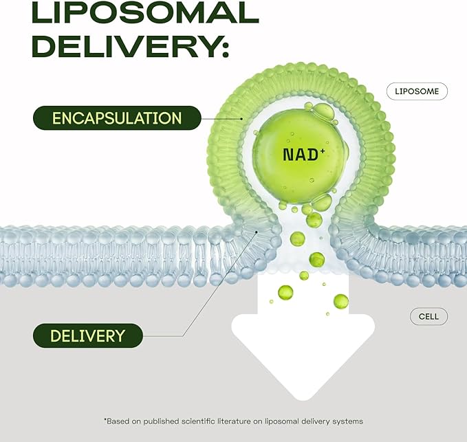 NMN Supplement Alternative – Liposomal NAD+ Supplement – Third-Party Tested – NAD CORE – 60-Day Supply – 120 Capsules
