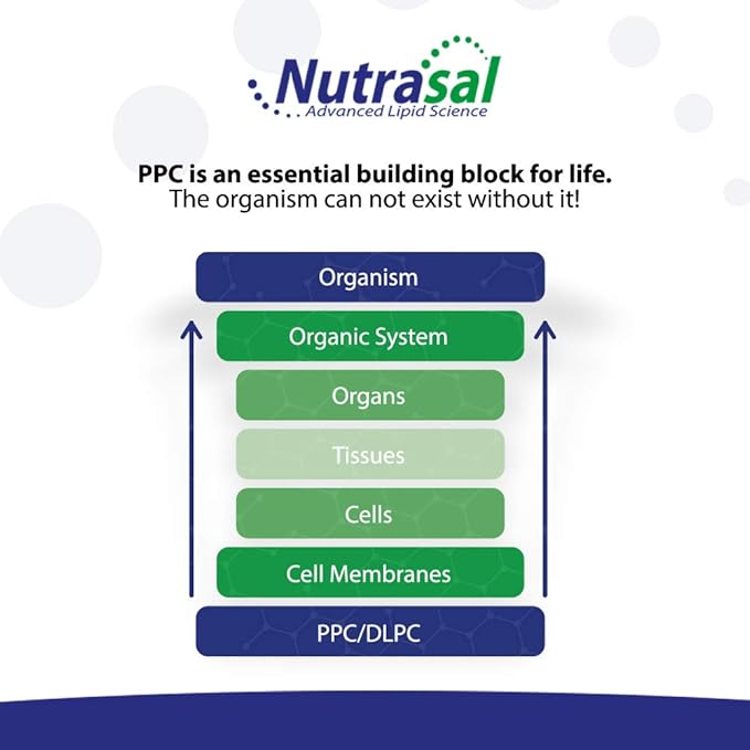 Nutrasal PhosChol Liquid Concentrate 3000mg – 8 oz.