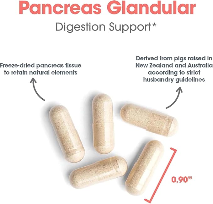 Allergy Research Group ARG Pancreas Natural Glandular - Supports Healthy Pancreas Immune &amp Digestive Activity - 425 mg per Serving - Freeze Dried Tissue from Pork - 60 Servings - 60 Capsules