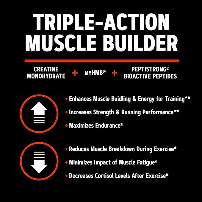 GNC AMP Creabolic - Creatine Monohydrate Powder - High-Potency 5g Creatine with HMB &amp PeptiStrong - Triple Action Muscle Formula - No Added Sugars - Unflavored - 30 Servings