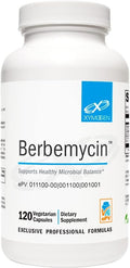 XYMOGEN Berbemycin - Berberine Grape Root &amp Grapefruit Extract - Supports Healthy Microbial Balance &amp GI Health - Concentrated Berberine - Vegan Gluten-Free &amp Dairy Free - 120 Capsules