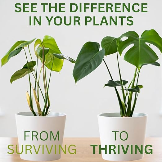 Silica Strength Plant Supplement – Strengthens Stems Supports Upright Leaves &amp Improves Stress Resilience | Ready-to-Use 4.5% Liquid Concentrate for Houseplants | 8 oz | Makes 96 Gallons