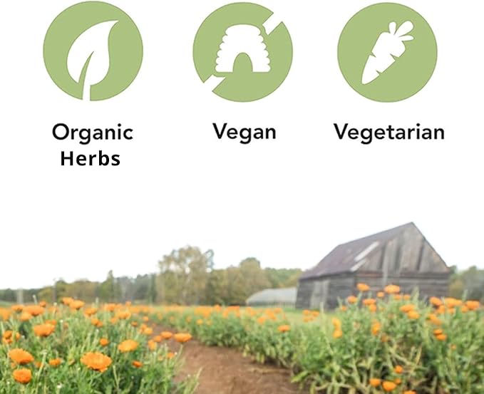 St. Francis Herb Farm Digestive Bitters (3.4floz) USDA Certified Organic GMO-Free Gluten Free Vegan Vegetarian (1 Bottle) Natural Digestive Regularity Support