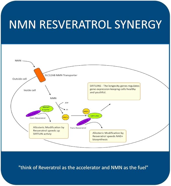 MAAC10 NMN Resveratrol NAD Combo Pack - Nicotinamide Mononucleotide NAD+ Supplement 250mg (60 x 125mg NMN Capsules) 99% Pure Trans Resveratrol Extract (60 x 250mg Capsules)