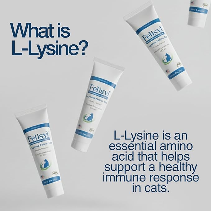 Felisyl L-Lysine Gel for Cats &amp Kittens (5oz) – Immune System Respiratory &amp Eye Health Support. Reduces Sneezing Runny Nose &amp Watery Eyes. Daily Salmon-Flavor Supplement – Made in USA (6