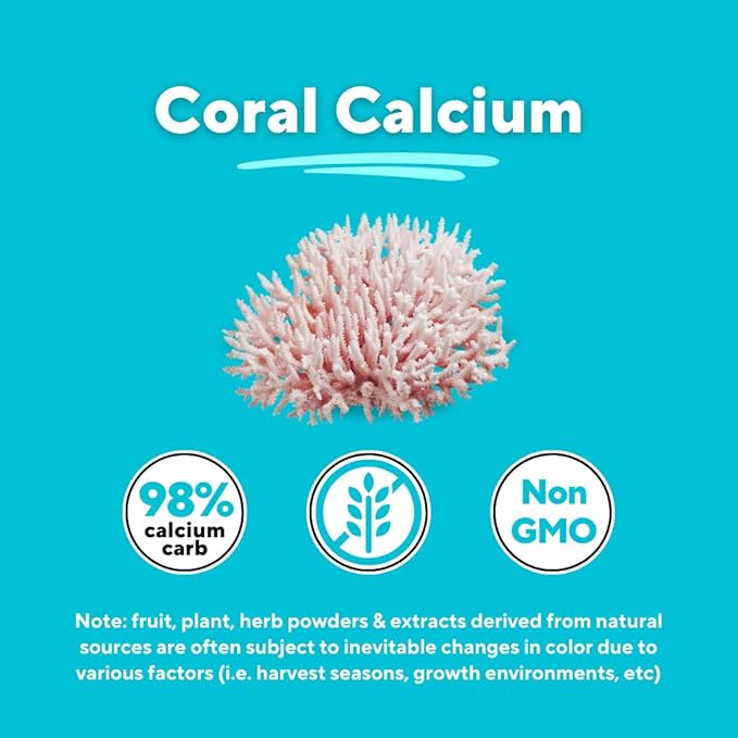 Vitapia Coral Calcium Powder 1000mg Capsules for Overall Health Bone Health PH Level Balance Trace Minerals Support - 120 Veggie Capsules - Non-GMO &amp Gluten-Free Supplement