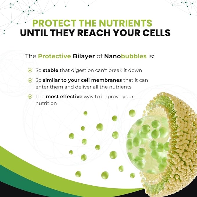 Nanonutrition Coenzyme Q10 | Liposomal Nanotechnology | 100% Natural Ingredients | 16 Fl. Oz. | 32 Servings