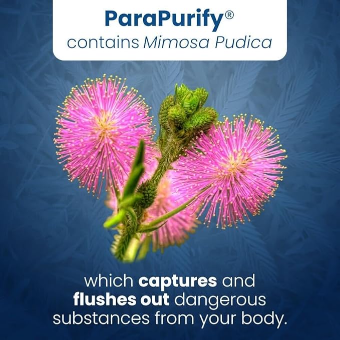 Well of Life ParaPurify 120 Mimosa Pudica Black Walnut Supplement – Digestive Health Support &amp Herbal Cleanse Formula | Supports Gut Health &amp Internal Clarity | Organic Non-GMO Vegan Capsules