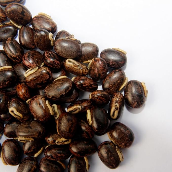 PURE ORIGINAL INGREDIENTS Mucuna Pruriens (2 lb) Pure and Natural Non-GMO Gluten-Free