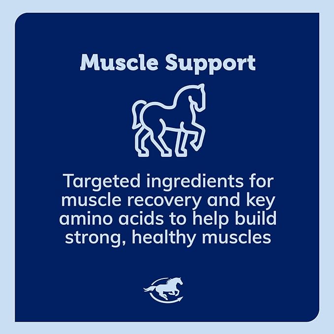 Acetyl L-Carnitine HCL Powder | Horse Energy Supplement &amp Muscle Supplement for Horses Supporting Muscle Function &amp More | Antioxidant-Rich Pure Formula | 1 lb Bag