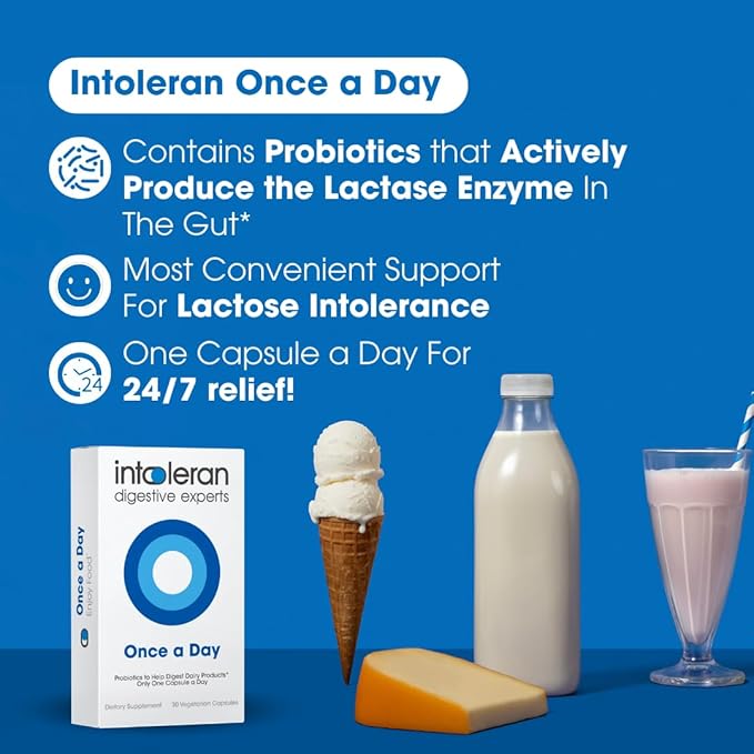 Intoleran Once a Day - 30 Capsules | Probiotic Lactose Intolerance Supplement | Actively Produces Lactase Enzyme &amp Helps Digest Dairy | 1 Capsule per Day | 6 Lactic Acid Ferments | Pure &amp Dair