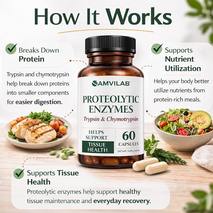 Proteolytic Enzymes | Trypsin &amp Chymotrypsin – Advanced Digestive Enzyme Supplement for Woman&ampMen - Digestive Enzymes for Protein Breakdown Immune &amp Circulatory Health - 60 Capsules