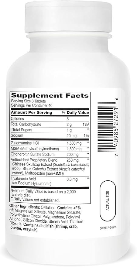 21St Century Glucosamine Chondroitin Advanced with Msm - 120 Tablets (Pack of 2)