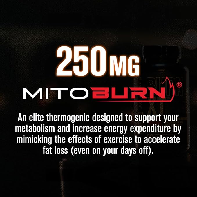 Jacked Factory Burn-XT Max - High-Performance Thermogenic Fat Burner &amp Appetite Suppressant for Weight Loss w/PurCaf Organic Caffeine MitoBurn Green Tea Acetyl L Carnitine &amp More - 90 Capsu