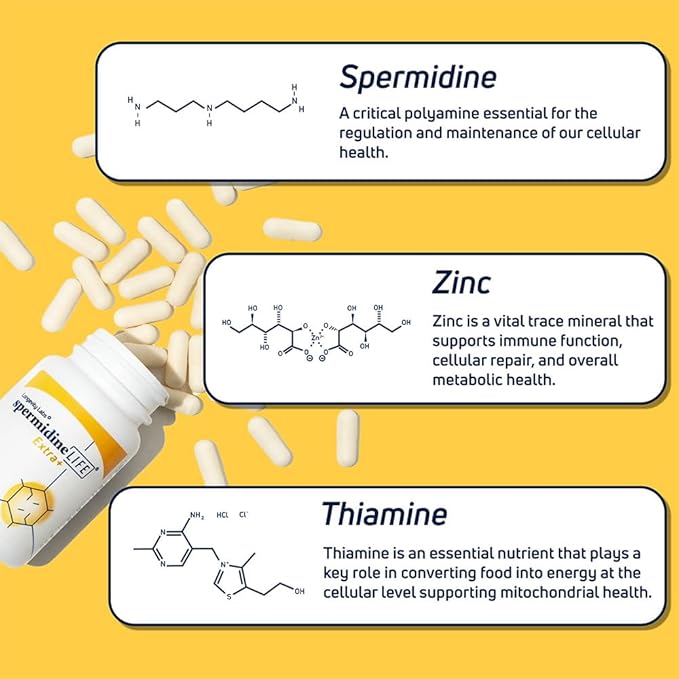 LONGEVITY LABS + spermidineLIFE Natural Supplement Non-Synthetic Plant-Based Wheat Germ Extract with High Spermidine &amp Zinc for Cell Renewal Vegan for Women &amp Men 60 Capsules