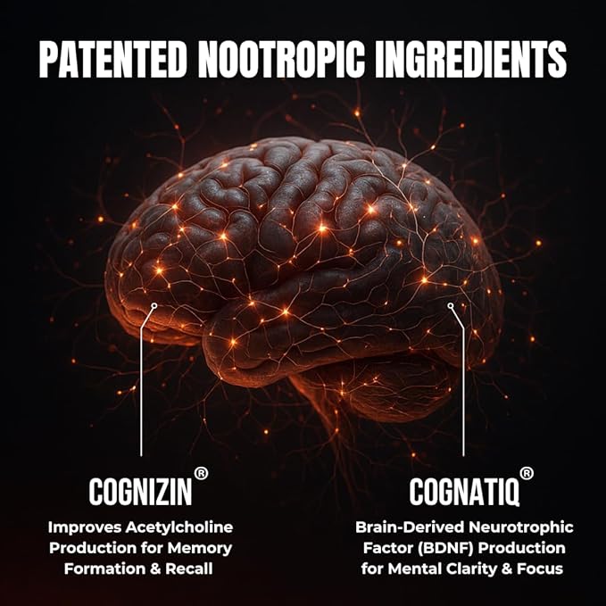All-Natural Brain Supplement for Memory and Focus - Caffeine-Free Long-Term Cognitive Support - 10 Nootropic Ingredients Including Lion’s Mane Bacopa Turmeric Ginkgo &amp Huperzine A - 90 Capsules