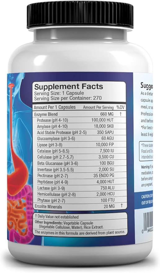 Gluten Free Digestive Enzymes - 270 Count