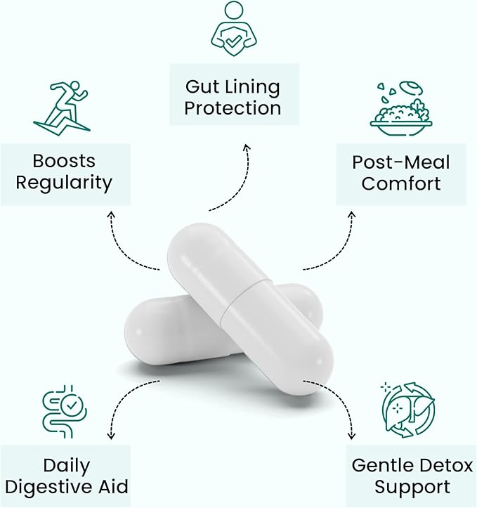 AL ProGut – Gut Health Supplement with Enzymes Herbs &amp Amino Acids – Daily Digestive Support Powder for Bloating Regularity &amp Nutrient Absorption – 30 Servings