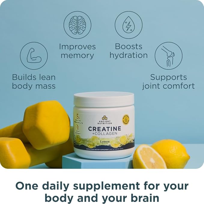 Ancient Nutrition Creatine + Collagen – Muscle Strength Lean Body Mass Joint Comfort &amp Cognitive Support – Includes 5g Creatine Monohydrate for Women + Electrolytes Lemon 30 Servings