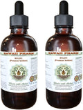 Hawaii Pharm Boldo Alcohol-Free Liquid Extract Boldo (Peumus boldus) Dried Leaf Glycerite Natural Herbal Supplement 2x2 oz
