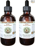 Hawaii Pharm Boldo Alcohol-Free Liquid Extract Boldo (Peumus boldus) Dried Leaf Glycerite Natural Herbal Supplement 2x4 oz