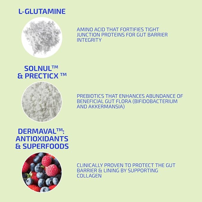 Prebiotics for Digestive Health &amp Immune System Support – Dietary Fibers Antioxidants &amp Superfoods for Gut Barrier Strength &amp Gut Microbiome Balance | 30-Day Supply | Codex Labs BIA GutBu