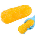RONTEN 1 lb Human Fat Anatomical Model A True Replica of Human Body Fat Perfect for Nutritionists Fitness Enthusiasts to Display