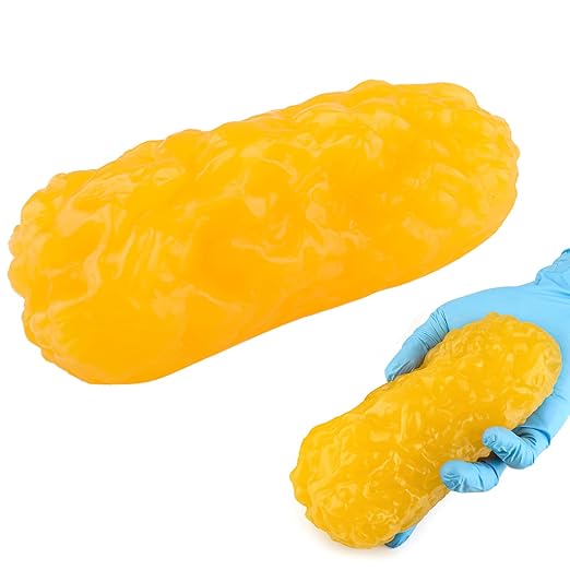RONTEN 1 lb Human Fat Anatomical Model A True Replica of Human Body Fat Perfect for Nutritionists Fitness Enthusiasts to Display