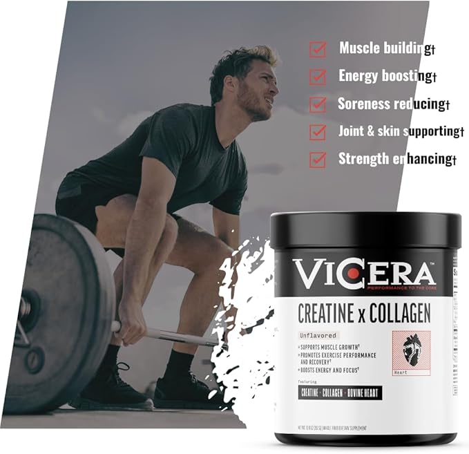 Creatine + Collagen Powder Unflavored Creatine Monohydrate and Collagen Supplement with Probiotics Gluten Free Non GMO Easy to Digest Formula 30 Servings 13.8 Oz
