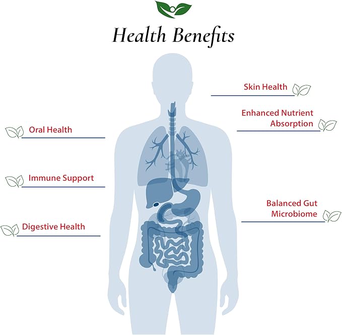 Foods For Gut Lactobacillus Johnsonii Probiotic Powder 100 Billion cfu's | No Additives | Direct from Manufacturer | No Third-Party Storage | Immune Support | L. Johnsonii | 100 Grams (3.52 Oz)