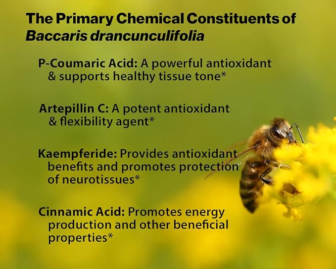 Dr. Ohhira's Propolis Plus 60 Capsules with Brazilian Green Propolis Probiotic Extract and Astaxanthin