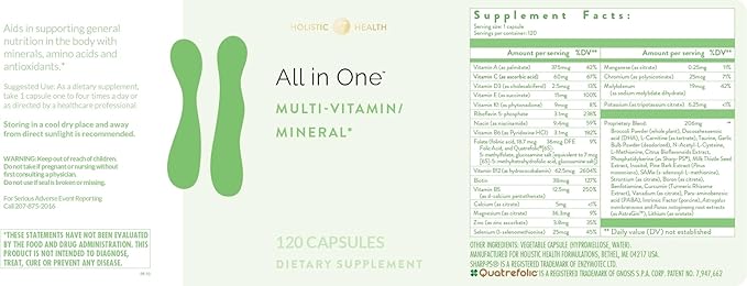 Holistic Health All in ONE Multi Vitamin and Mineral for Antioxidant Boost Multi Minerals Supplement for Supporting Methylation and Immunity Boost 120 Capsules