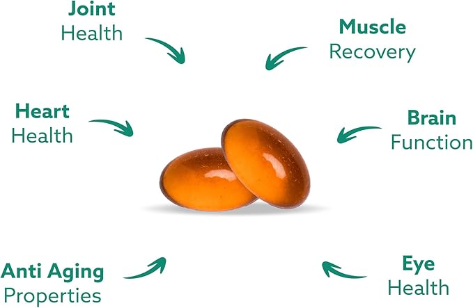 GLX3 Green Lipped Mussel Oil Capsules for Joint and Muscle Support | Extra-Strength ETA EPA DHA Omega-3 Green Lipped Mussel Supplement for Comfort Flexibility &amp Recovery by HakaLife GLX3
