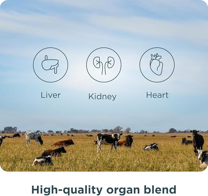 Ancient Nutrition Organ Supplements Once Daily Grass-Fed and Wild Organ Complex Capsules Liver Heart Kidney Supports Organ Cognitive and Immune System Health 30 Ct