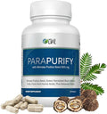 Well of Life ParaPurify 120 Mimosa Pudica Black Walnut Supplement – Digestive Health Support &amp Herbal Cleanse Formula | Supports Gut Health &amp Internal Clarity | Organic Non-GMO Vegan Capsules