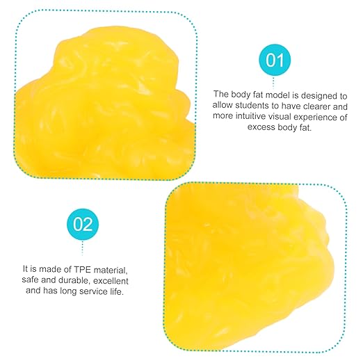 PartyKindom Teaching Replica with Base 1-Pound Human Fat Model for Exercise Fitness Education