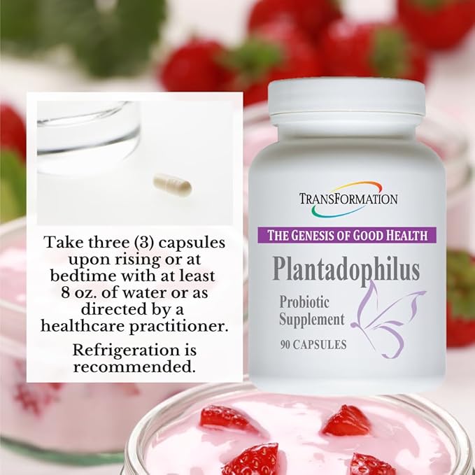 Transformation The Genesis of Good Health Enzymes Plantadophilus Natural Plant-Based Probiotics Supplement Practitioner Recommended Non-GMO for Digestive Health Immune Support Gut Balance 90