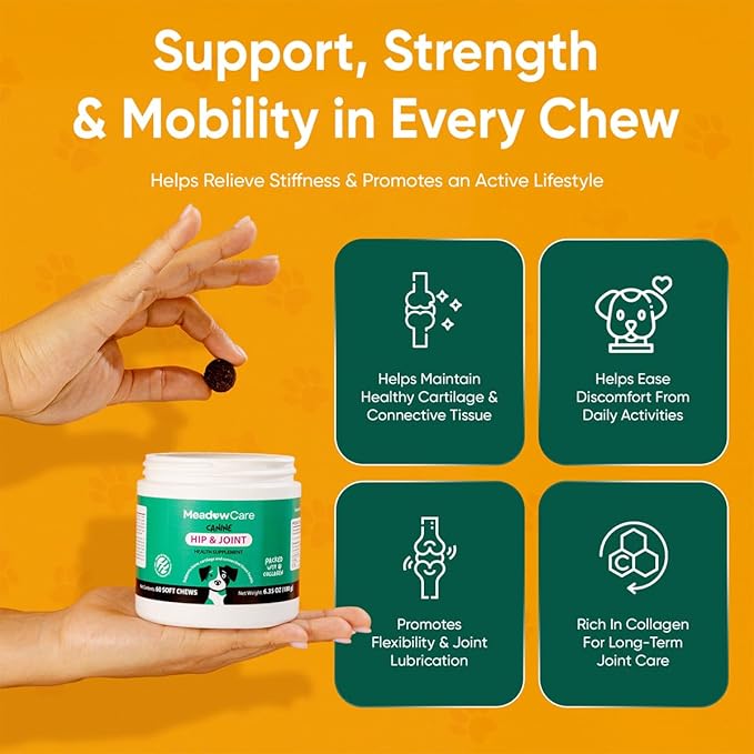 Hip and Joint Supplement for Dogs | MSM Chondroitin &amp Glucosamine for Dogs | Supports Bone Cartilage &amp Connective Tissue Health | Dog Joint Supplement | 60 Soft Chews180 g (6.35 oz) | Meadow