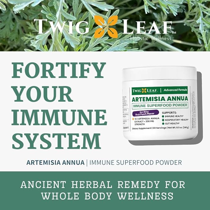 Artemisia Annua Sweet Wormwood Herbal Powder | Leaf Extract Brain Support | Artemisia Supplement | Sweet Wormwood Organic Extract | Non-GMO Vegan Gluten-Free | 30 Servings/8.5 Oz (240g)